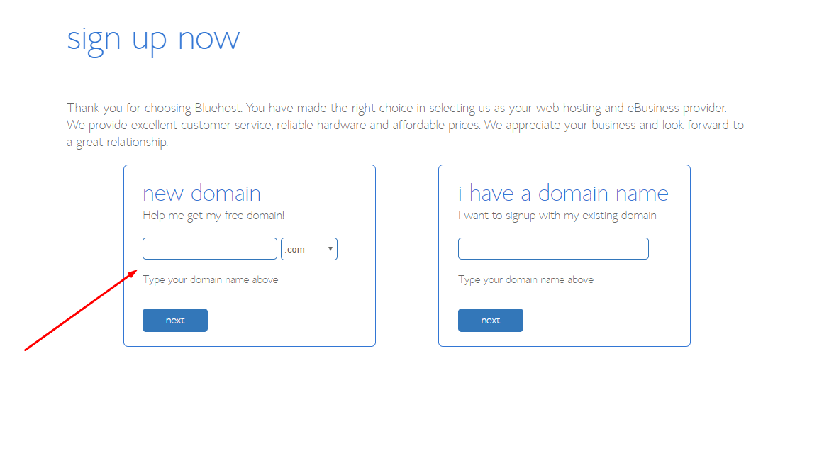 Bluehost New Domain