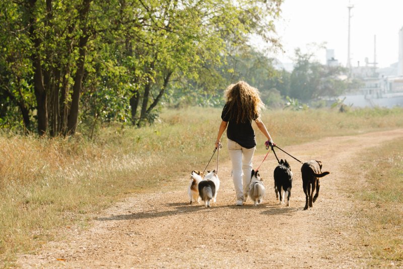 Woman walking with dogs