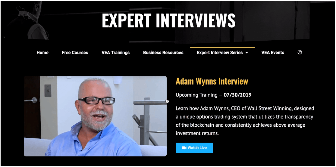 Virtual Entrepreneurs Association Expert Interview