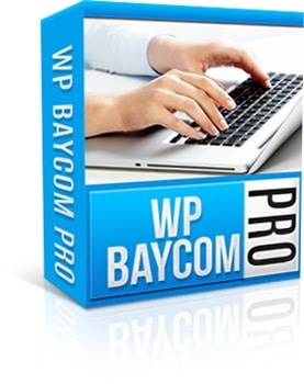 WP Baycom PRO