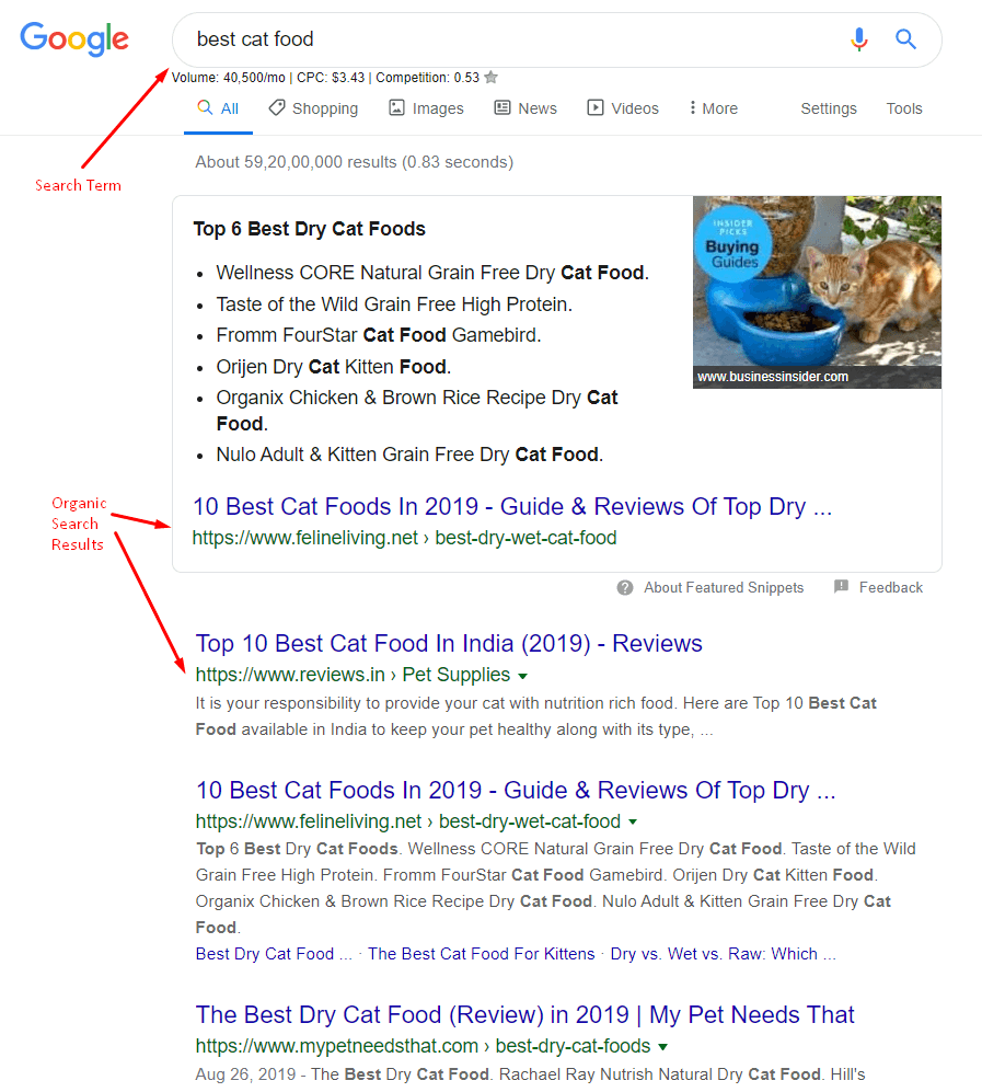 Organic Google Search Sample