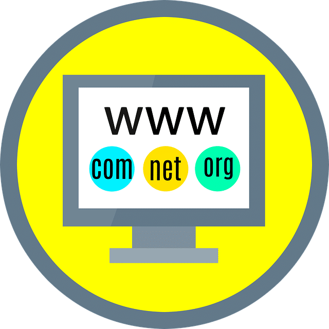 Website Domain