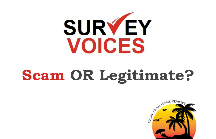 survey voices review