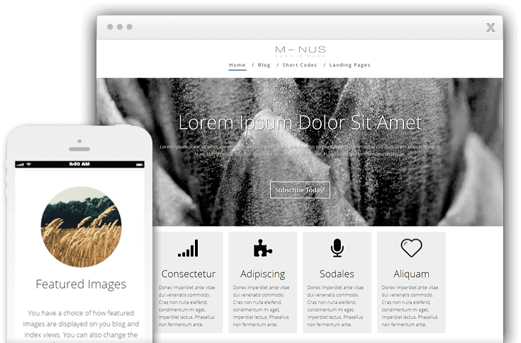 Minus Thrive Theme Template