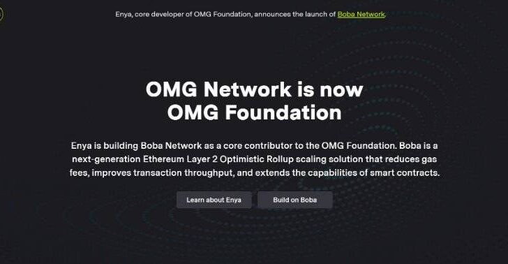 OMG Network Webpage