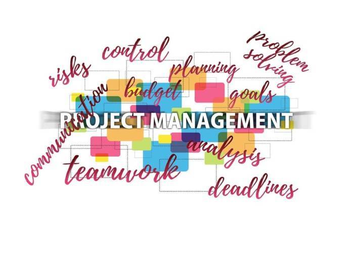 project management apps for freelancers