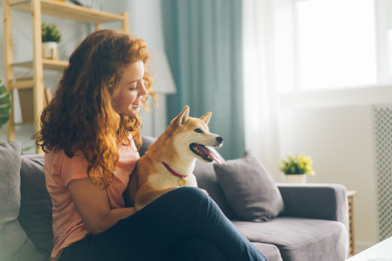 Pretty redhead woman is hugging cute doggy sitting on couch in apartment smiling enjoying beautiful day with beloved animal