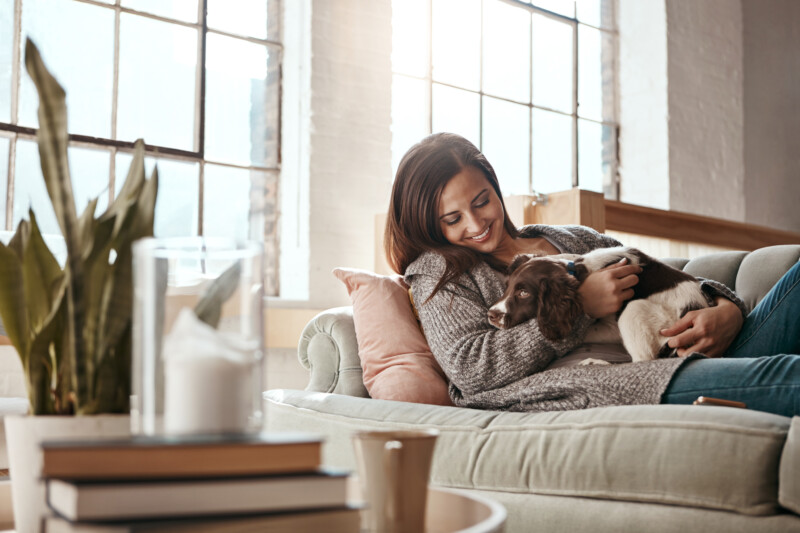 Woman relax on couch with puppy, happy and content at home with pet, happiness together with peace in living room