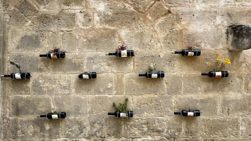 Wall decoration from succulents and upcycling wine bottles
