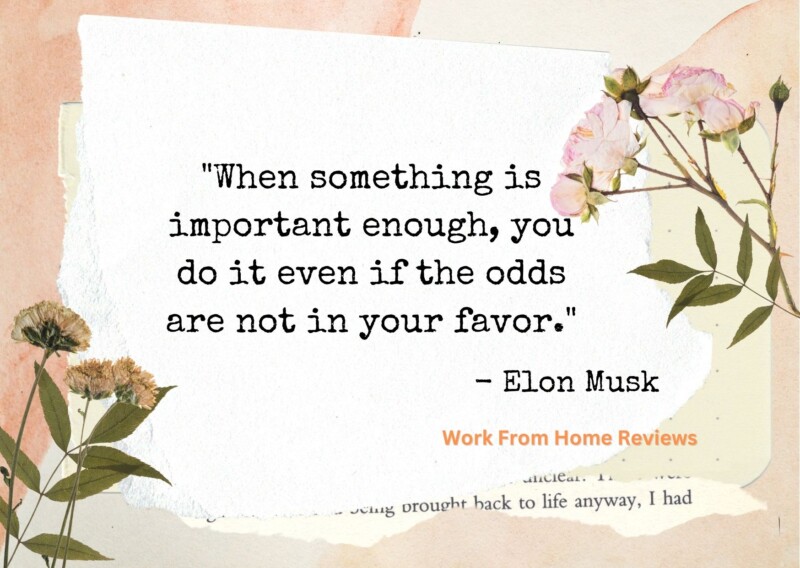 Elon Musk Self Investing Quote