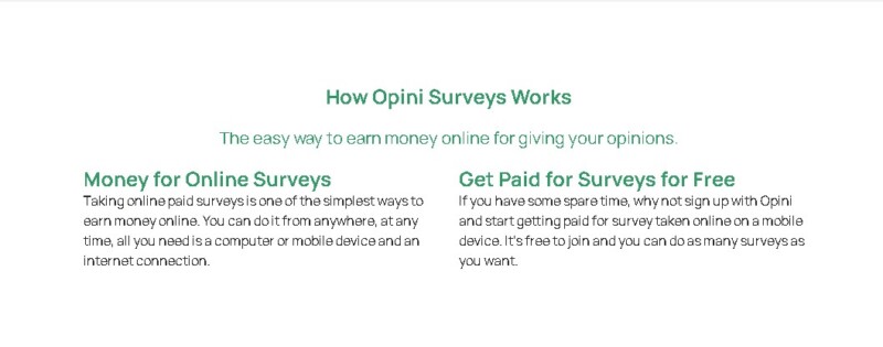 How Opini Surveys Works