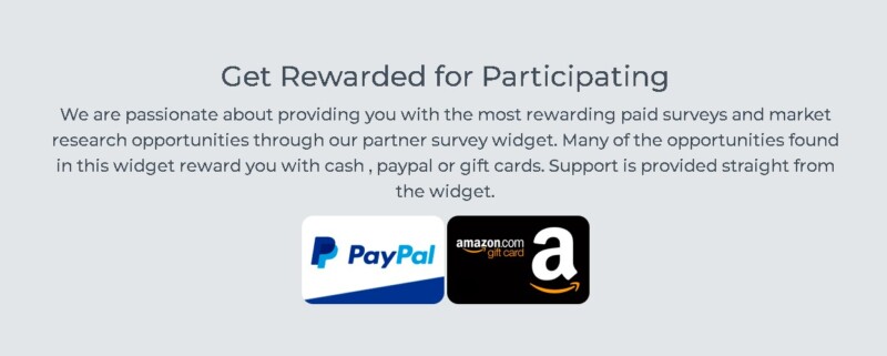 Surveys2Cash Rewards and Potential Earnings