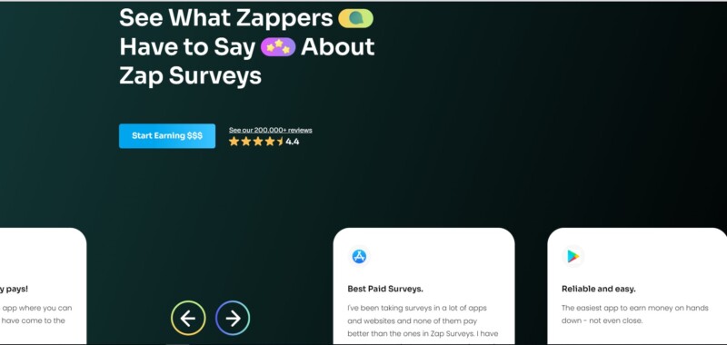 Zap survey reviews