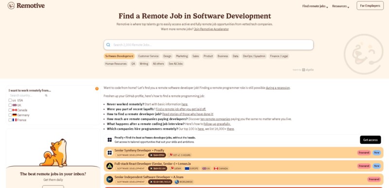 Remotive Software Developer Job Postings