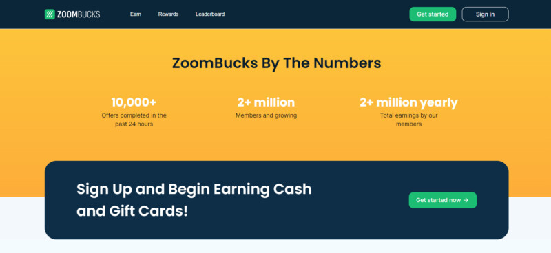 ZoomBucks Statistics